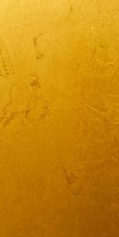 A close up of a toilet with a yellow wall